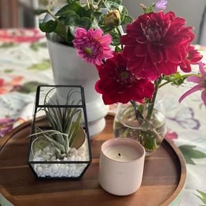 Meet your Posher, Christina